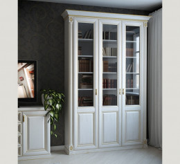 Шкаф для книг с дверцами 