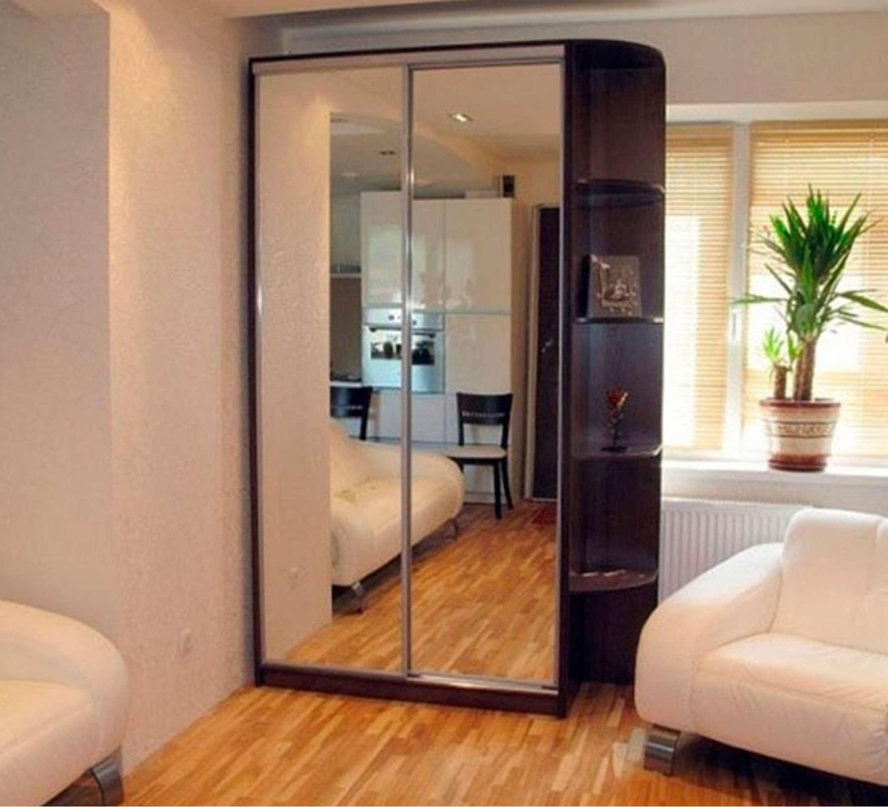 Шкафы-купе в гостиную с зеркальными дверями
